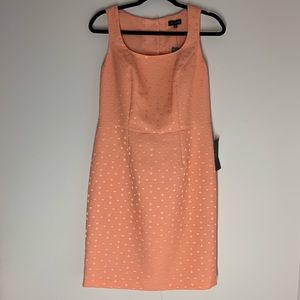 The Limited Dress